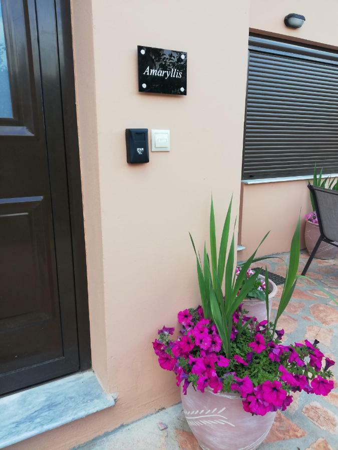 Corfu  Dimitra - Loft Apartments المظهر الخارجي الصورة